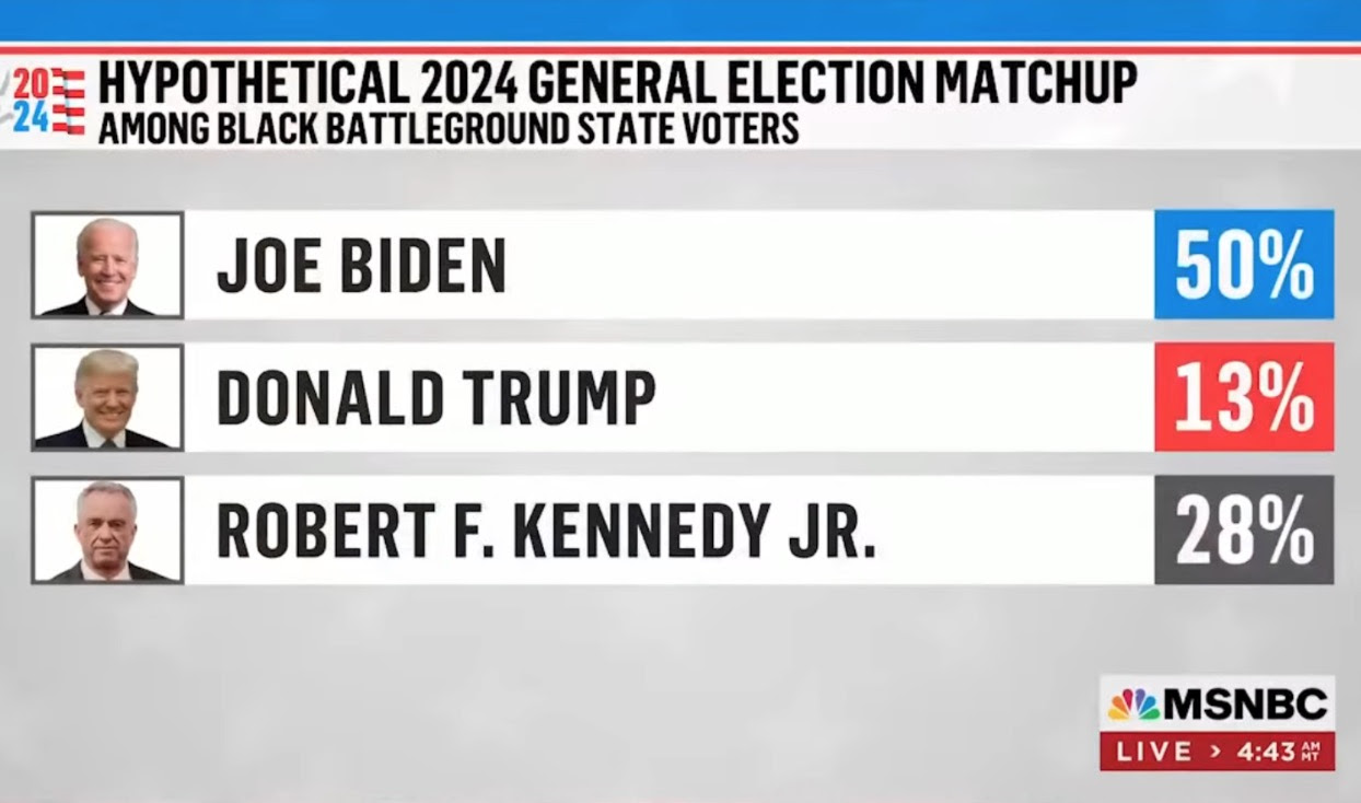 Hypothetical 2024 General Election Matchup