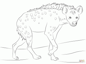 Use these images to quickly print coloring pages. Hyena Coloring Page Clip Art Library