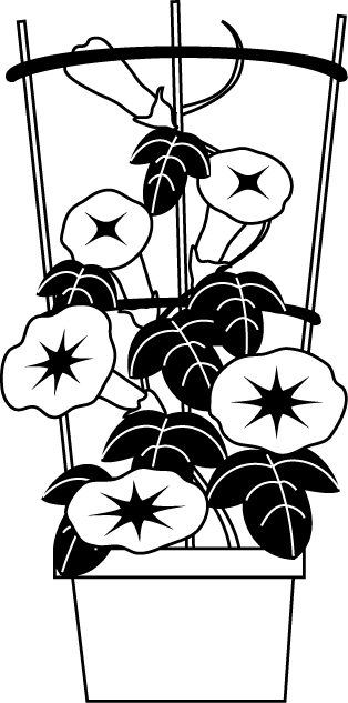 動物画像のすべて 50 7月 イラスト 白黒