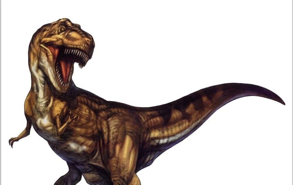 かっこいい リアル ティラノサウルス 恐竜 イラスト 2736 Image4u5t3h