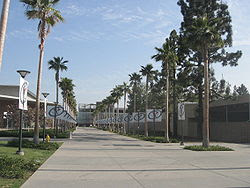 Последние твиты от cal state fullerton (@csuf). California State University Fullerton Facts And Information