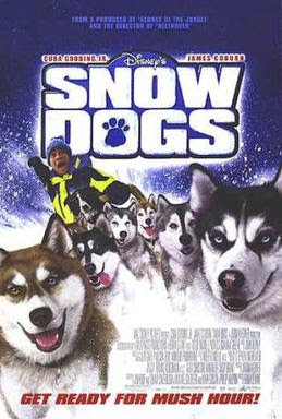 Kutyabajnok teljes film m a videókat megnézheted vagy akár le is töltheted, a letöltés nagyon. Filmajanlo Kutyabajnok Sziberiai Husky Blog