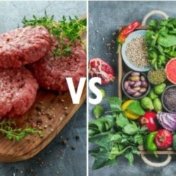 meat eaters vs vegans