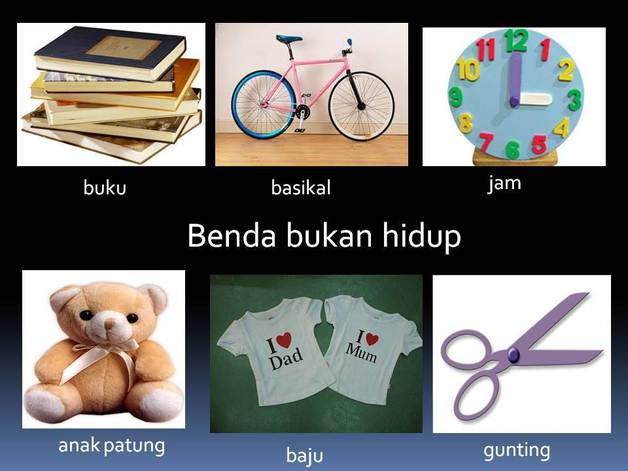 Benda hidup juga melalui proses tumbesaran. Benda Bukan Hidup Dunia Sains Dan Teknologi Tahun 1 Kssr