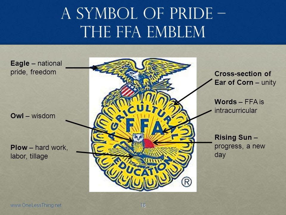 Ffa Owl  Emblem