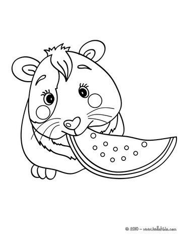 Entdecke eine riesen auswahl an schönen bildern! Meerschweinchen Zum Ausmalen Ausmalbilder Ausmalbilder Ausdrucken De Hellokids Com