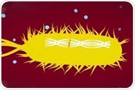 Horizontal Gene Transfer and Antibiotic Resistance