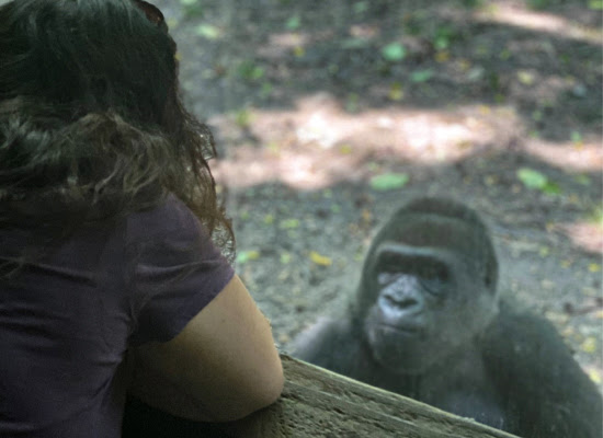 Zoo Keeper Week