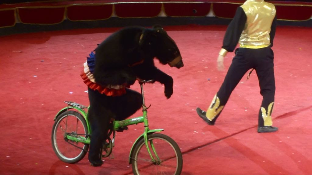サーカス 自転車