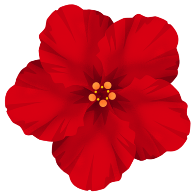 Japan Image 花 フリー素材 透過