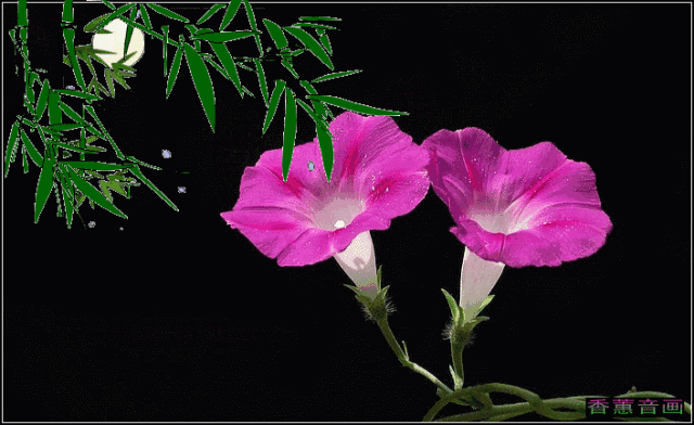花 英語 花 英語 4文字