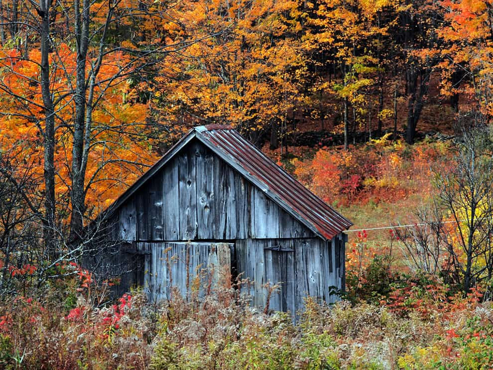 Vermont autumn shack