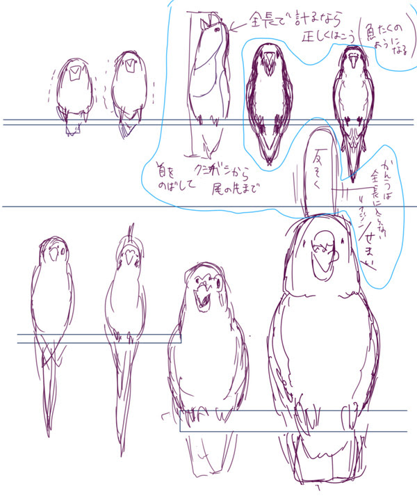 最新鳥 描き方 イラスト アニメ画像