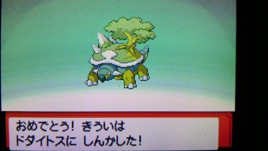 動機 ポケモン プラチナ ドダイトス 100 で最高の画像