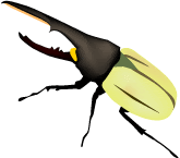 50 ヘラクレスオオカブト カブトムシ イラスト 簡単 Nyosspixo71c