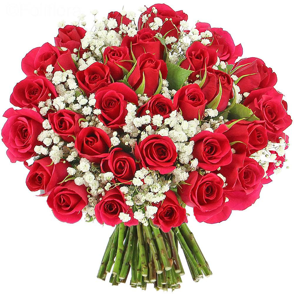 Carte Anniversaire Gratuite Bouquet De Fleurs Fredda