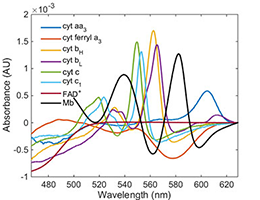 Spectrometer Output