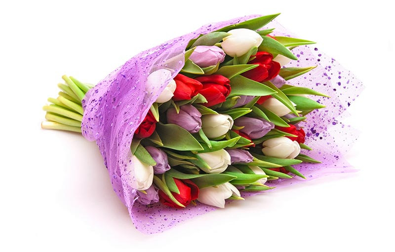 Gambar Bunga Tulip Hitam Putih - Gambar Ngetrend dan VIRAL