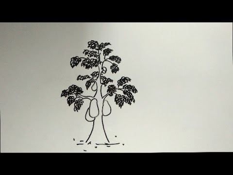 Terbaru 21 Tes Psikotes  Menggambar Pohon  Nangka