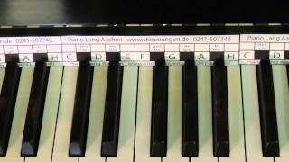 Entdecke rezepte, einrichtungsideen, stilinterpretationen und andere ideen zum ausprobieren. Das Klavier Tastenschablone Gratis Zum Download Youtube