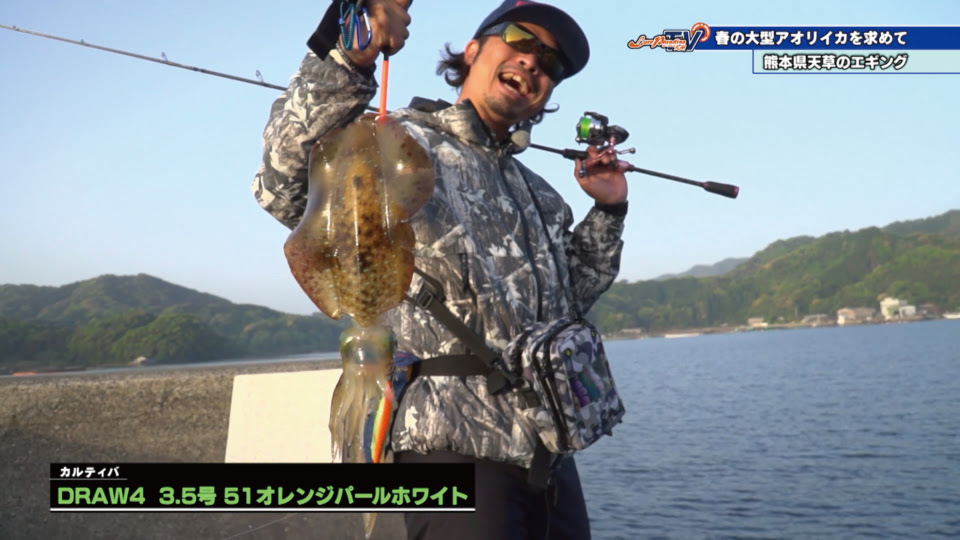 新着伊良湖 エギング すべての魚の画像