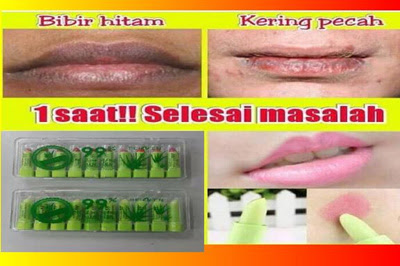 Hasil carian imej untuk lipstick aloe vera mini