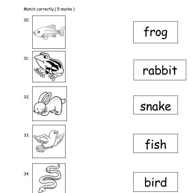 Kertas Soalan Darjah 4 Bahasa Melayu - Terengganu t