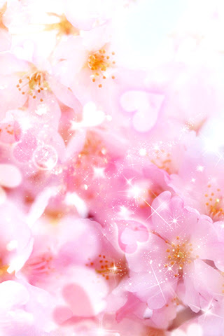 すべての花の画像 最新のhd花 待ち受け ピンク