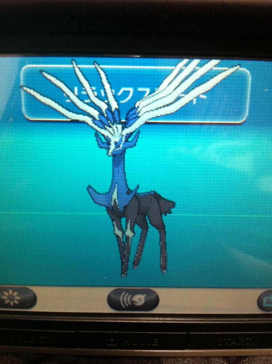 驚くばかりポケモン ゼル ネ アス 色 違い すべてのぬりえ