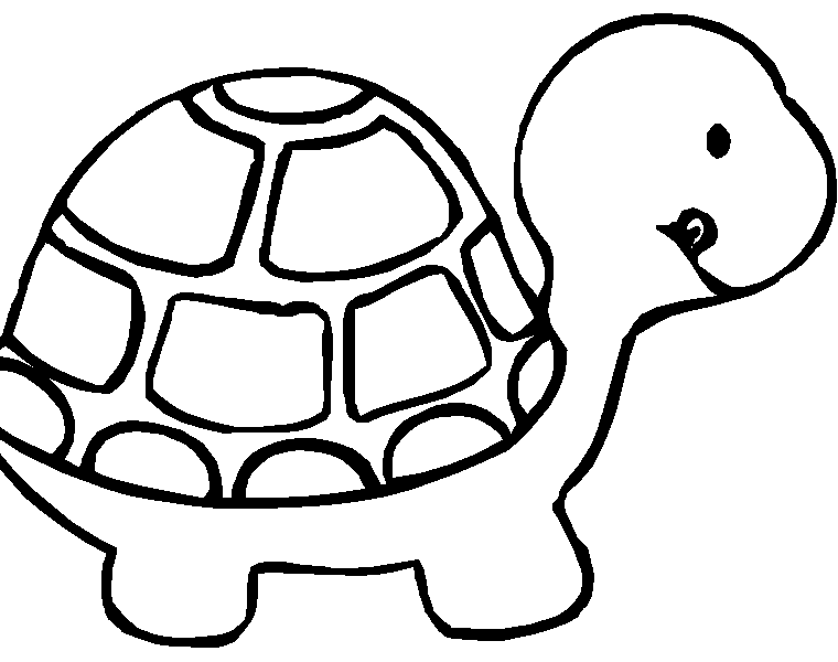 Coloriage Coloriage à Imprimer Tortue