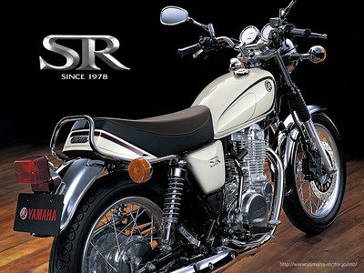 綺麗なsr400 壁紙 最高の花の画像