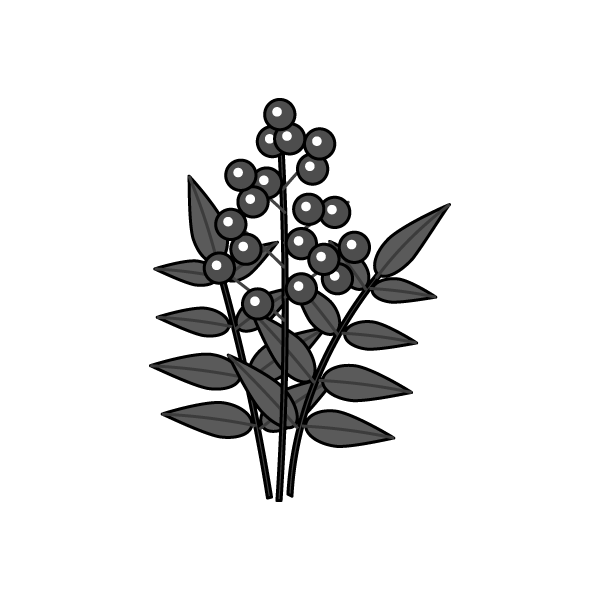 最新花 イラスト 白黒 手書き すべての美しい花の画像
