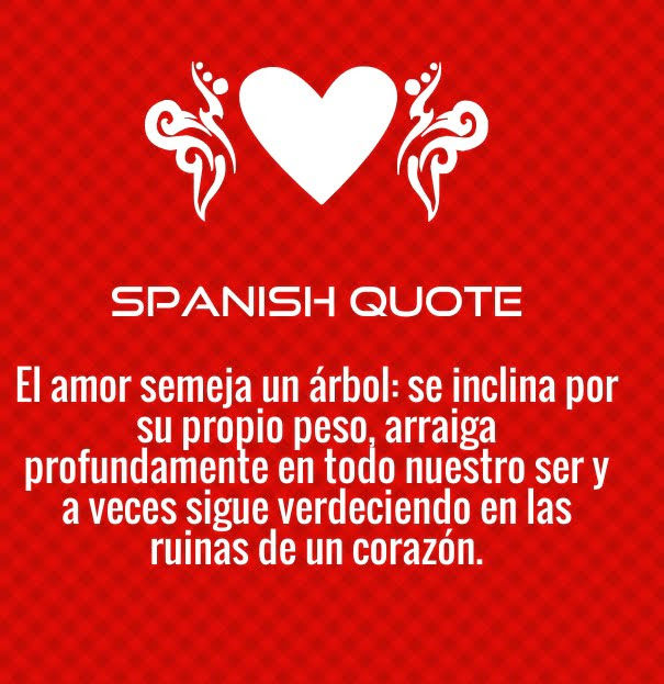  Love  Quotes  For Him In Spanish  With English Translation 