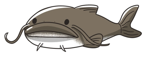 最新 ナマズ イラスト 正面