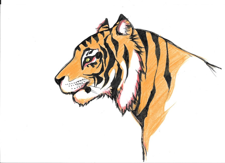 おかしいです 虎 イラスト 簡単 興味深い画像の多様性
