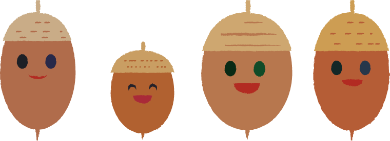 美しい花の画像 上ドングリ イラスト