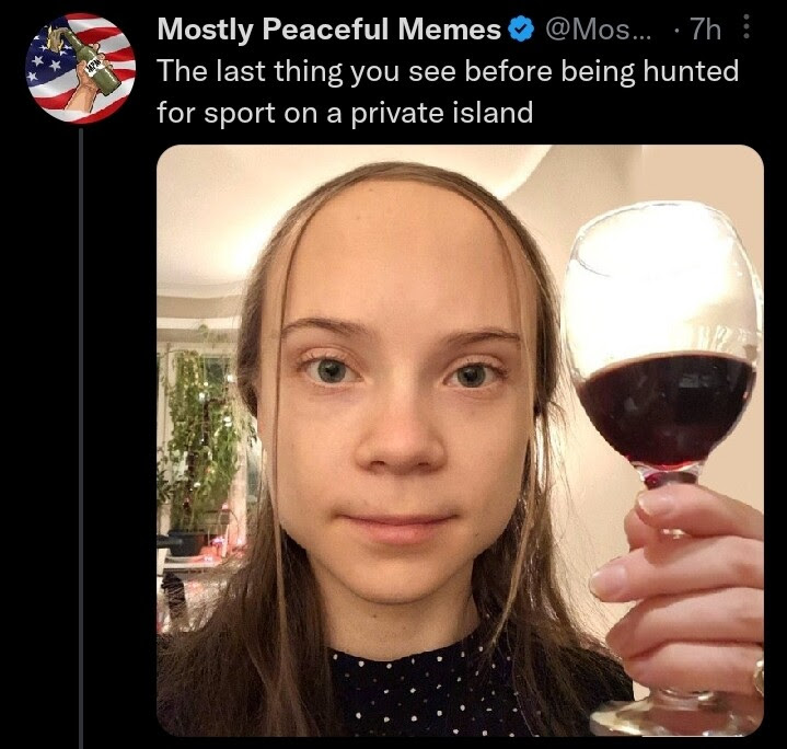 Meme showing a close up of Greta Thunberg with the wording: "The last thing you see before being hunted for sport on a private island."