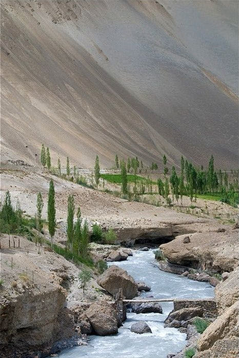 沙漠景