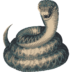 いろいろ 蛇 イラスト かっこいい 蛇 イラスト カッコいい Rolasblogjpimg