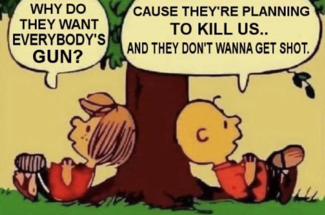 Charlie Brown commenting on gun control indicating we need guns to protect us from the government.