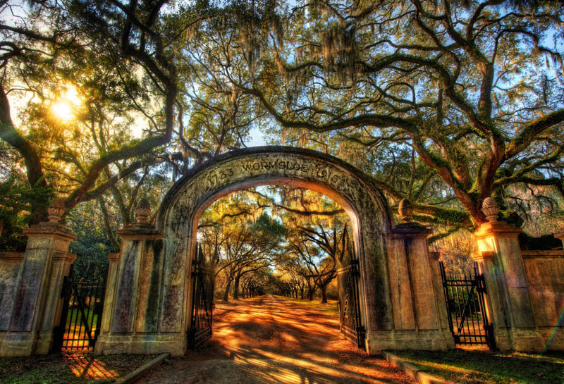 Wormsloe-Historic-Site-savannah-georgia