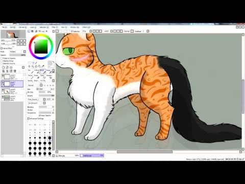 Ide Speedpaint Ember Warrior Cats OC Digital Drawing 