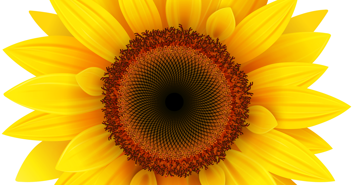 Download Waterslide Svg Free : Half Sunflowers, Large, Waterslide ...