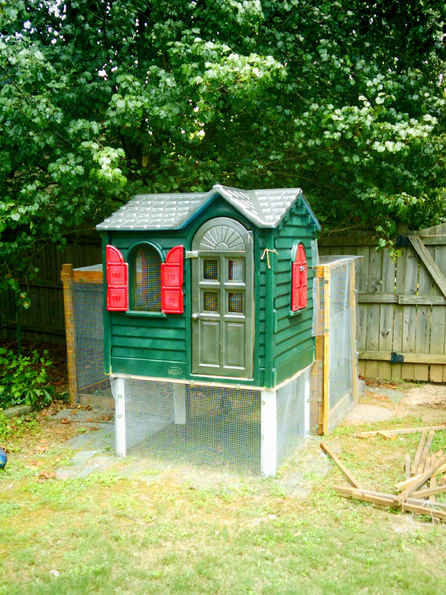 Blog Is it safe to paint the inside of a chicken coop ...