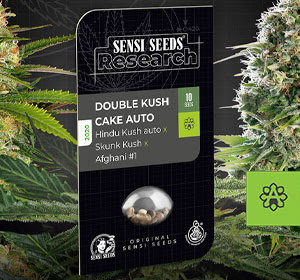 Sensi Seeds Research Double Kush Cake Automatic Seeds