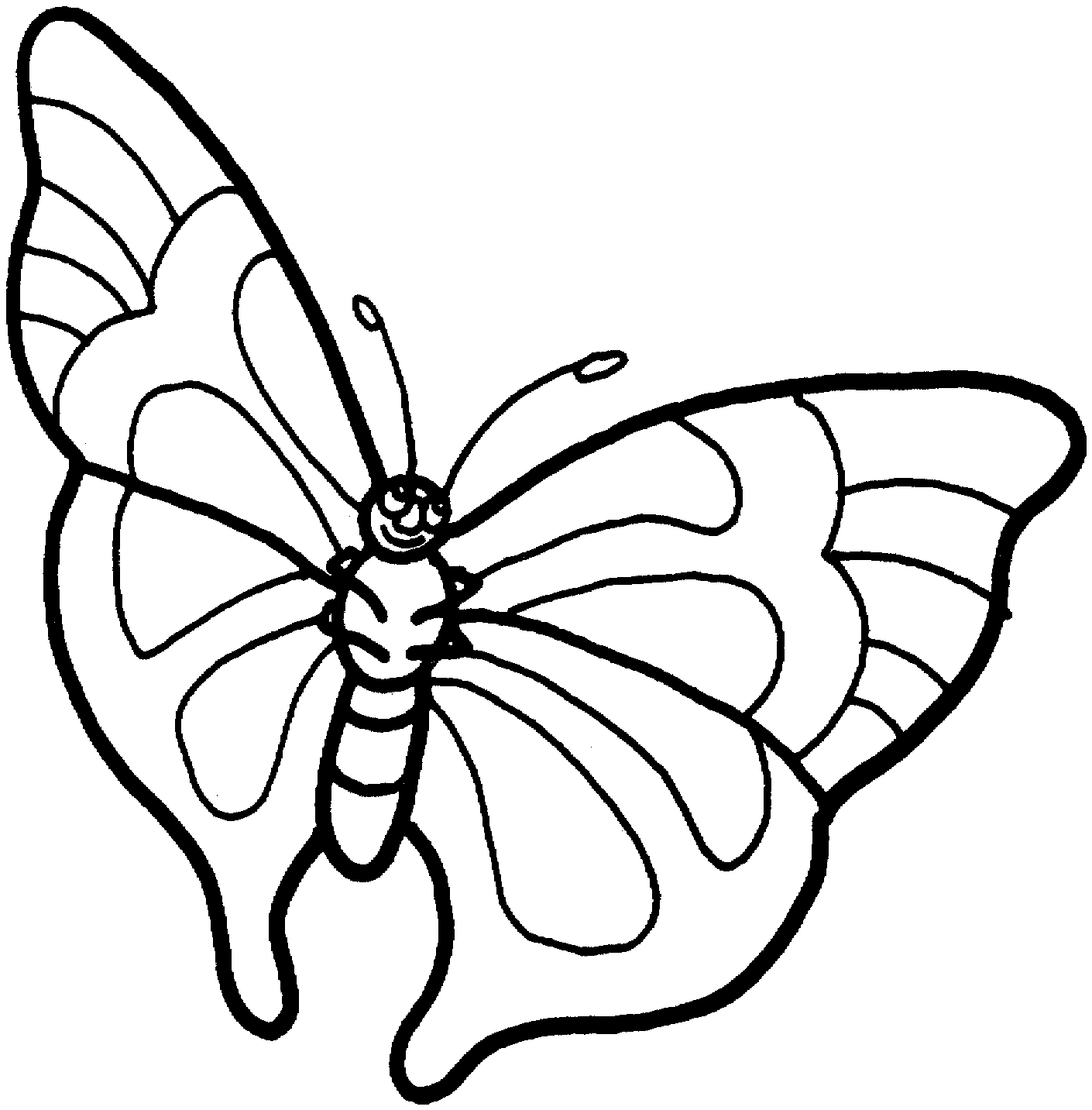 By designed by jason longo. Free Printable Butterfly Coloring Pages For Kids Cliparts Co