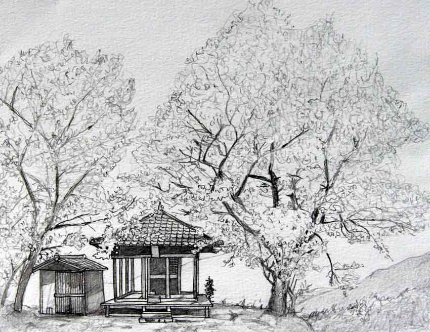これまでで最高の木 イラスト 桜の 木 描き 方 動物ゾーン