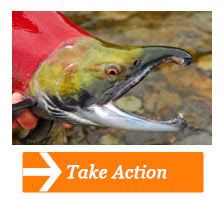 Take
Action