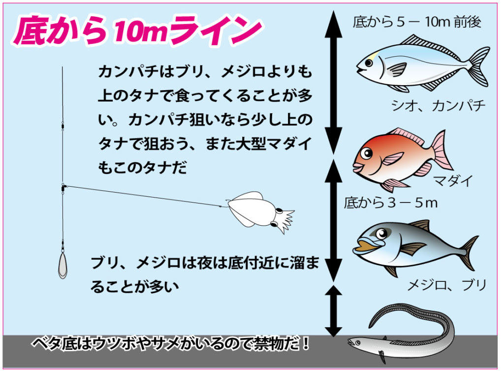 最新カンパチ 釣り 時期 すべての魚の画像