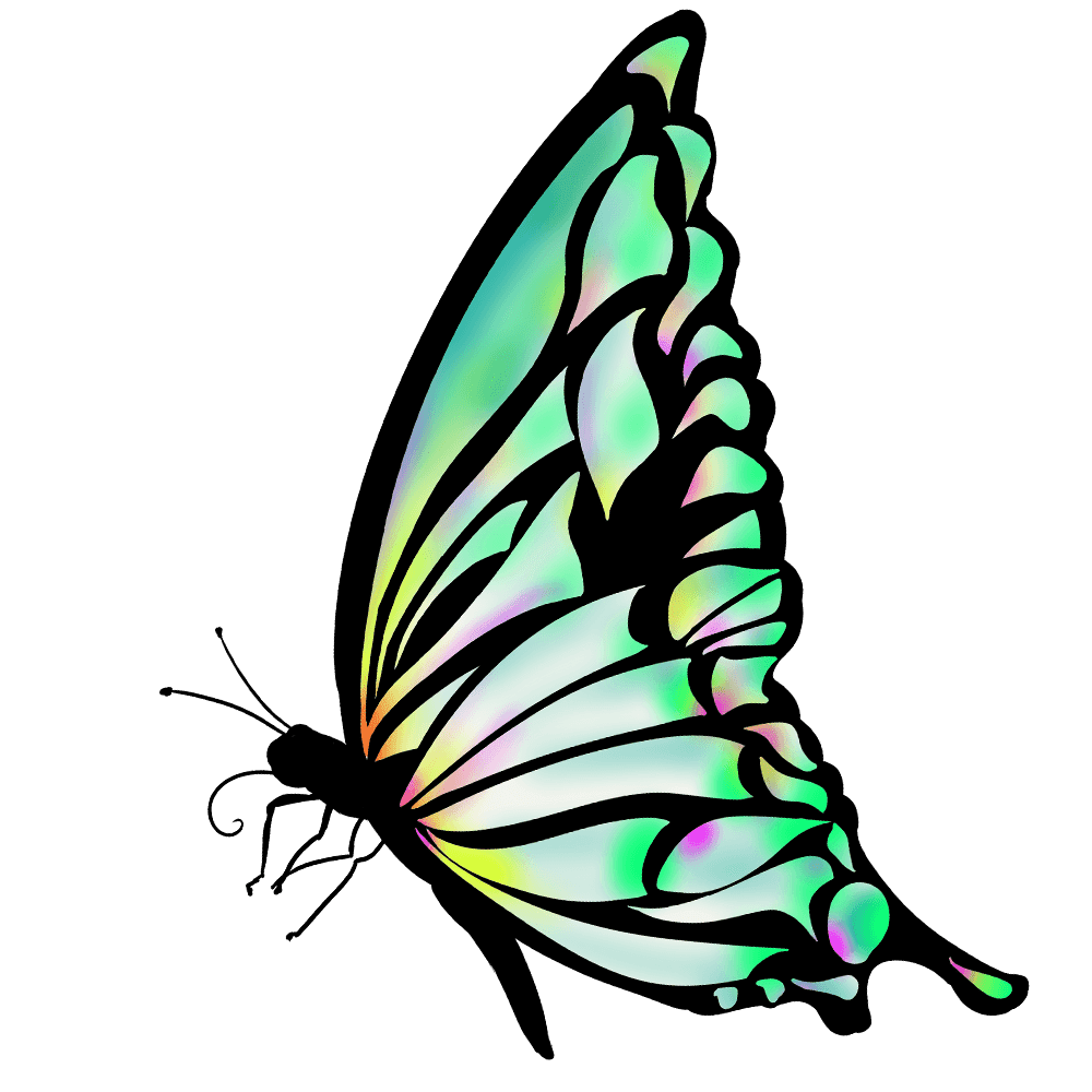 100以上 横向き 蝶々 イラスト 簡単
